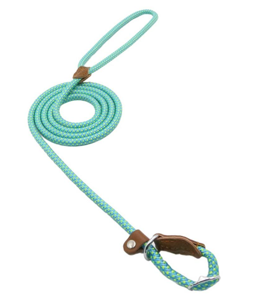 Nylon Pup Set